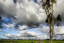 雄鹿新援临危受命,终结“垃圾时间”阴霾,球队迎来稳定之光