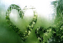 风雨飘摇下的快船:伤病侵袭,阵容重塑,涅槃之火能否再燃?