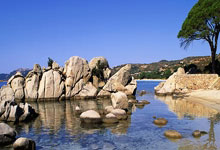 风雨飘摇的“大观”：内部矛盾浮现，球员心态如何安放？